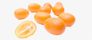 Citrus Fruit Png Royalty-free Photo - Seedless Fruit #10107109