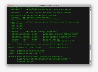 Computer Info - Computer Terminal #10108713