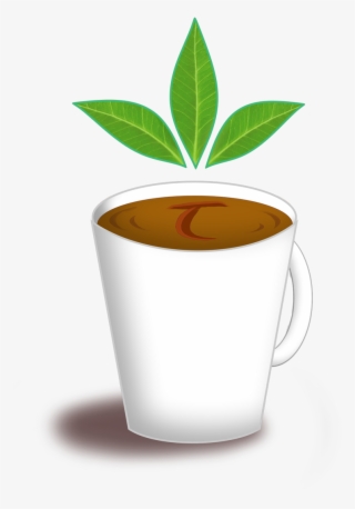 Fa Animations & Reviews Tealeaves Pics- Https - Cup #10109041