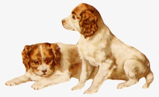 Zibi Vintage Scrap Dog Clip Art, Vintage Dog, Vintage - Companion Dog #10110133