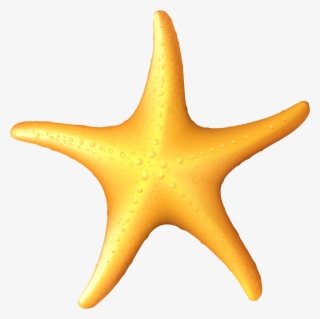 Sea Star Clipart - Starfish #10110891