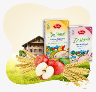 Organic Baby Cereal - Natural Foods #10111271