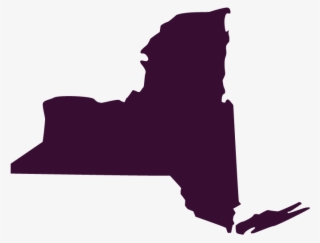 Prek 12 Programs For New York #10111535