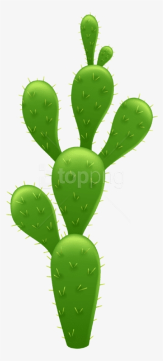 Download Cactus Png Transparent Cactus Png Image Free Download Pngkey