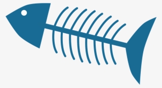 Fish Feathered Bone Skeleton Png Image - Bone #10112310