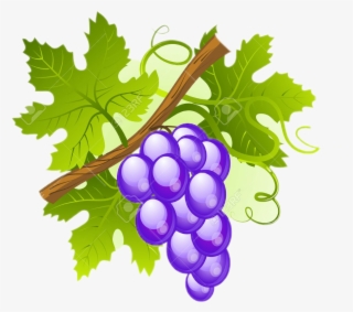 Uvas Sticker - Colegio Maria Reina Inmaculada #10112670