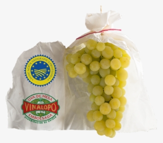 Respetuoso Con El Medio Ambiente #10112732