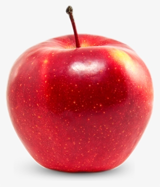 Apple Gala #10113766