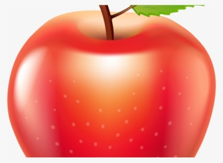 Mcintosh #10113769 Mcintosh #10113769