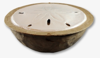 Sand Dollar - Circle #10114895