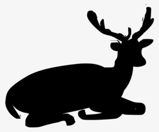 Download Png - Elk #10115224