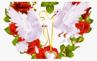 Love Birds Images For Facebook #10119756