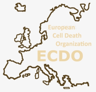 About Ecdo - Illustration #10119824