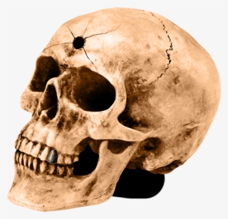 Northern California's Highest Rated Haunted House In - Skull #10122250