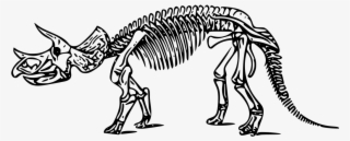 Svg Dinosaur Triceratops - Triceratops Skeleton #10123748