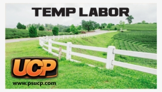 Graphic Design By Jadavprakash9 For Ucp Personnel Services #10124684