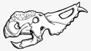 Pachyrhinosaurus Skull Diagram - Pachyrhinosaurus #1020004