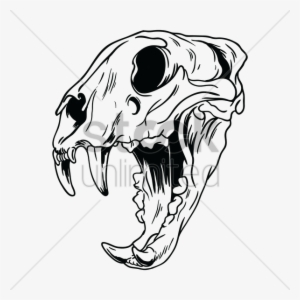 Skulls At Getdrawings Com Free For Personal - Tiger Skull Drawing #1020027