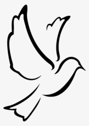 Paloma De La Paz Png #1020398