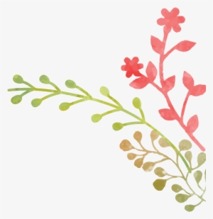 Erzahlungen: Prinzessin Auf Der Erbse Un #1020645