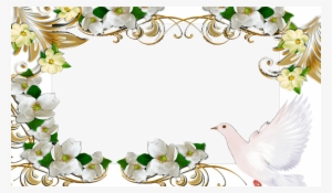 Marco Foto Paloma De La Paz - Marcos Para Fotos Palomas #1020929