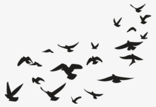 Report Abuse - Picsart Png Stickers #1021236