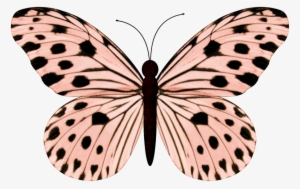 Nuestra Amiga Creativa Carmen Romeiko Nos Regala Este - Ideopsis Gaura #1022676