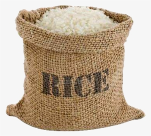 Rice - Tupperware Rice Keeper 10kg #1022839