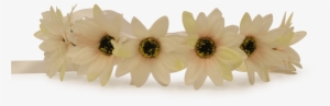 White Flower Crown Png - Flower #1022979