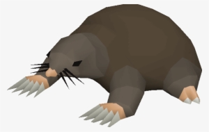 Giant Mole - Runescape Mole #1024024