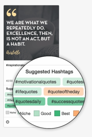 Instagram Hashtag Recommendations From Tailwind Hashtag - Hashtag #1024296