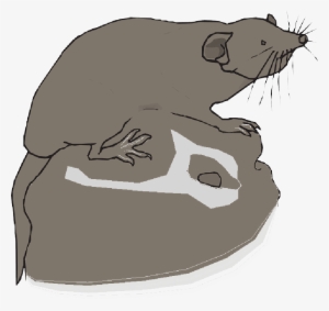 Mb Image/png - Vector Graphics #1024472