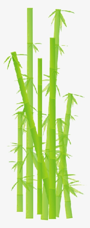 Mb Image/png - Bamboo Clipart Transparent #1024787