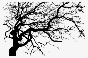 Clipart Resolution 1422*900 - Dark Tree Transparent #1024789