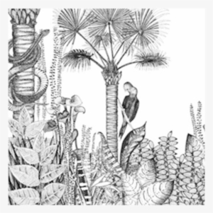 Wallpaper Jungle - Papier Peint Jungle Noir Et Blanc #1025233