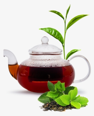 Intensitea Direct - Stem Meaning In Hindi #1026363