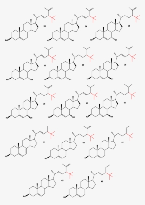 Neo Steroids Isolated From Marine Sponges, Anemones - Ink #1026694