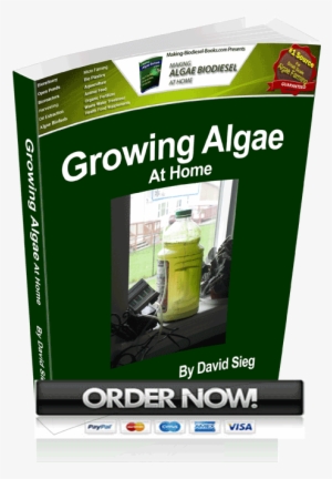 Growing Algae At Home - Parallel #1027486