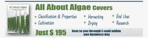 Who Will Benefit The Most From The All About Algae #1027717