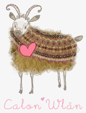 About Us - Wool #1027889