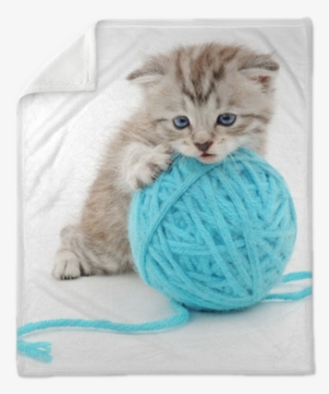 Gatto Con Gomitolo #1027910