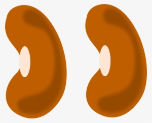 Yellow Bean Clip Art At Clker Com - Bean Vector #1028248