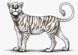 Bst75up - Portable Network Graphics #1028400