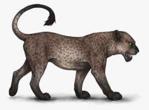 2h5cif8 - Portable Network Graphics #1028709