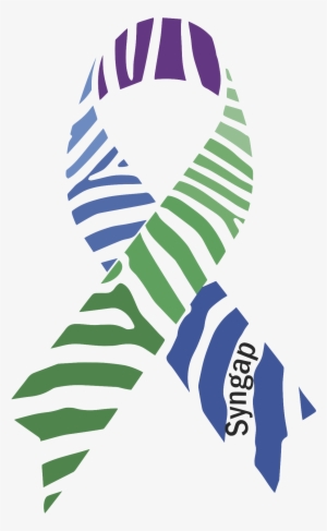 Ribbon Syngap1 - Zebra Ribbon Vector - Free Transparent PNG Download ...