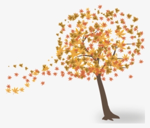 Arvore Outono Png #1030387