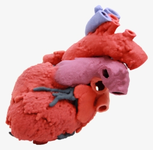 60107-heart Blood Flow - 3d Printed Organ Png #1030709
