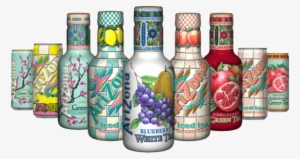 Arizona Blueberry White Tea 500 Ml (pack #1030711