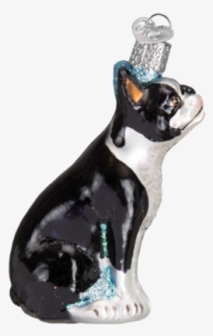 Boston Terrier Ornament - Photography Camera Glass Blown Hanging Christmas Ornament #1031110