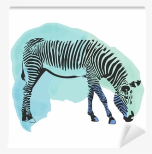 Colorful Watercolor Zebra Cover - Watercolor Painting #1031152